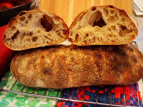 Sourdough Ciabatta - Firm Starter Version (crumb and loaf)